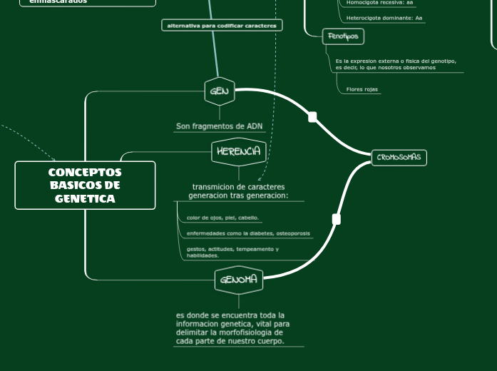 CONCEPTOS BASICOS DE Mind Map CONCEPTOS BASICOS DE Mind Map
